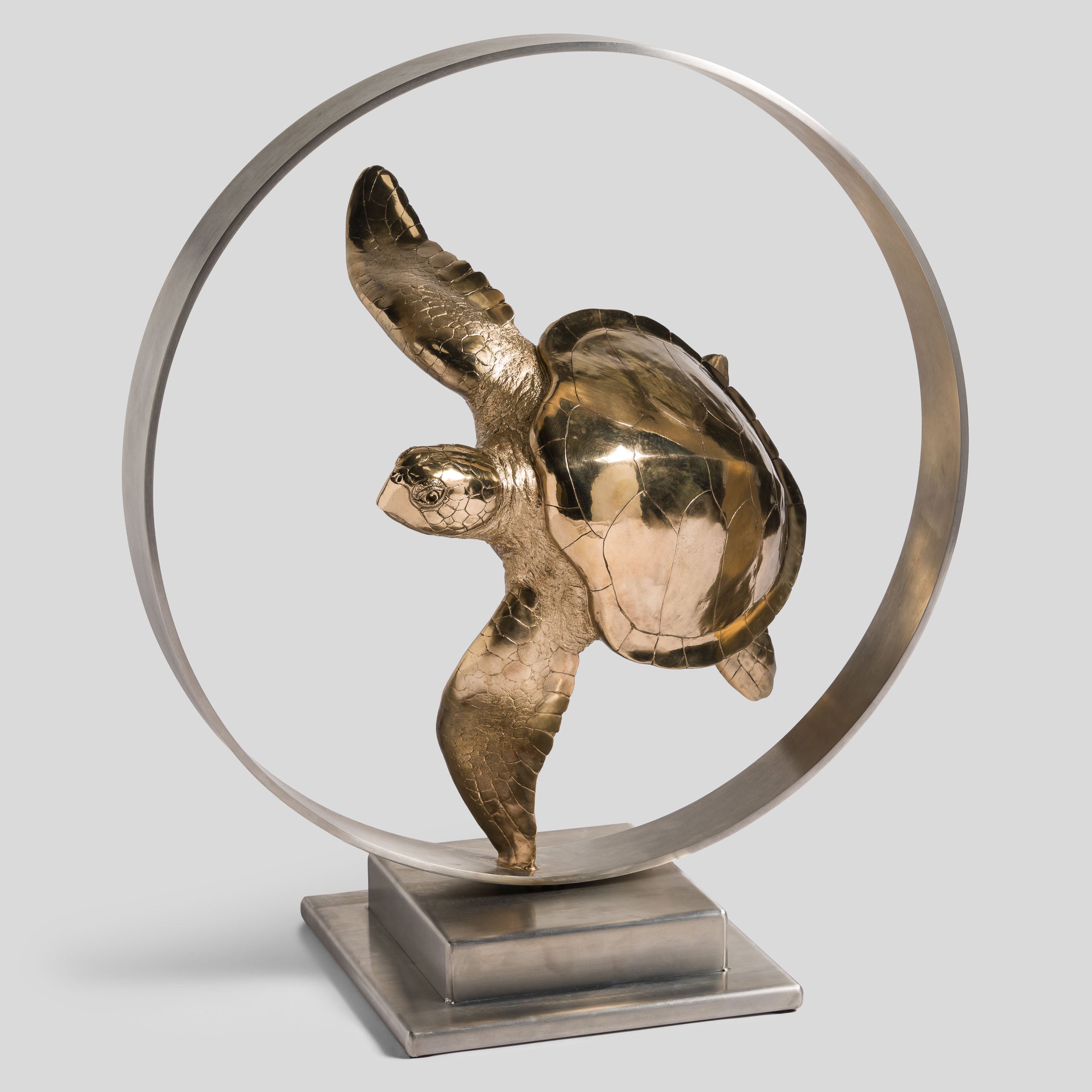 SWI SCU WWL 33636 Wisdom (Turtle) 2